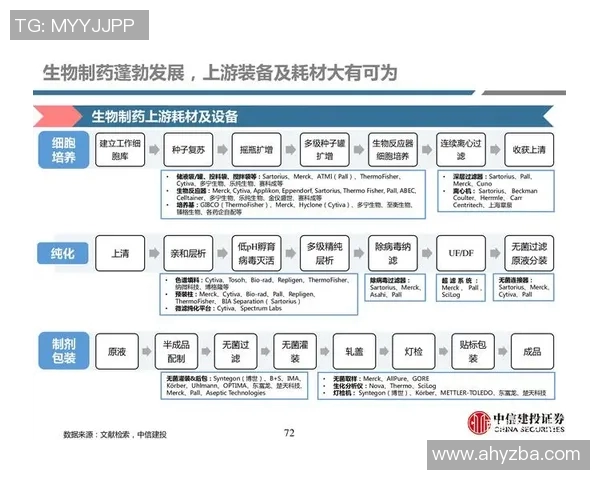杭州与重庆排球队赛后复盘分析意识碰撞与战术执行的深度探讨