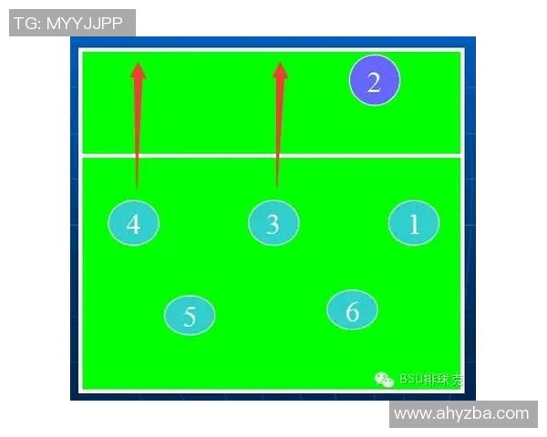 杭州排球队的战术控制解析与未来发展展望